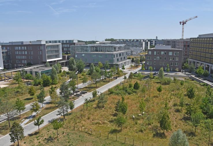 Le campus AgroParisTech de Palaiseau (Essonne) accueillera 30 % d'étudiants en plus d'ici 2030.