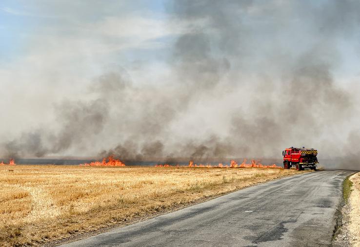 Le 7 juillet à Coltainville (Eure-et-Loir). Le secteur a été particulièrement impacté avec plus de 100 hectares avalés par les flammes.