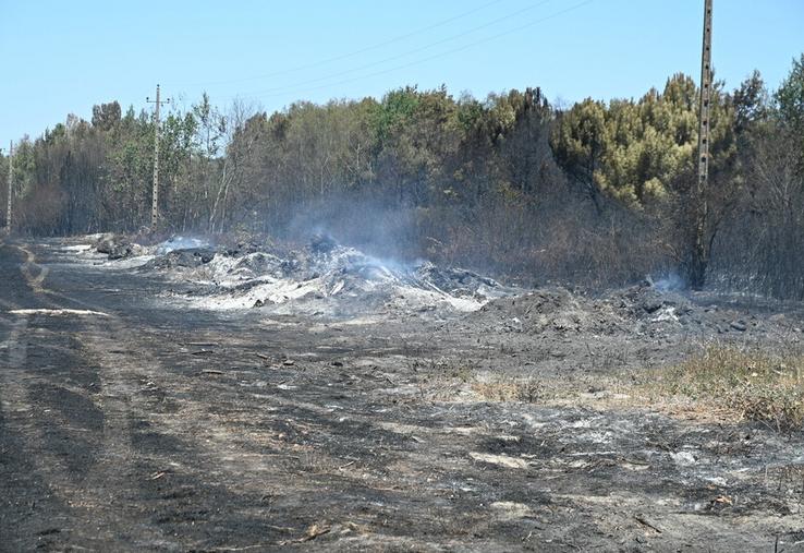 Le sud du Loir-et-Cher a été touché par de violents incendies mardi 7 juillet, notamment à Châtillon-sur-Cher, Fresnes et Chémery. Les feux ont été maîtrisés dès le lendemain, malgré la présence de quelques foyers résiduels.
