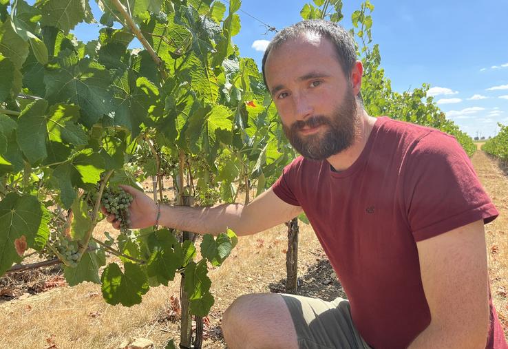 Lundi 27 juillet, à Morigny-Champigny (Essonne). Philippe, le père, et Pierre-Louis, le fils, Morchoisne ont lancé une activité viticole en marge de la transmission de l'exploitation.