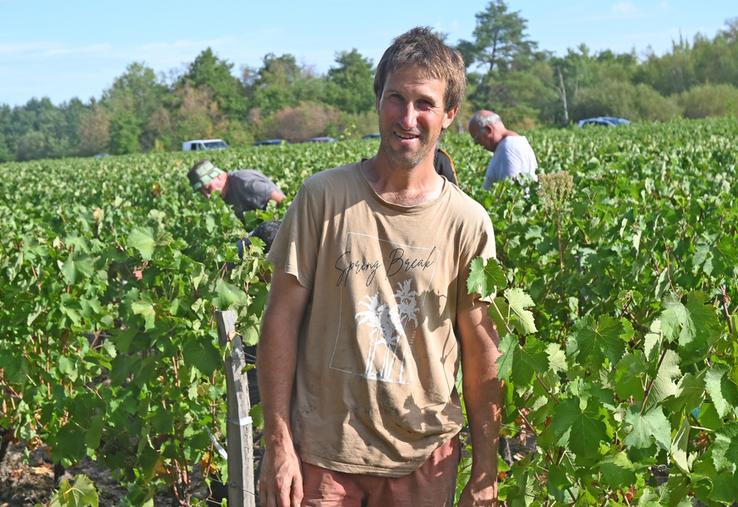 Vincent Tévenot, gérant du vignoble Tévenot, à Candé-sur-Beuvron, doit gérer des vendanges qui sont ultra-précoces cette année. Elles ont démarré le 12 août, du jamais-vu pour lui en dix-sept ans de carrière. 
