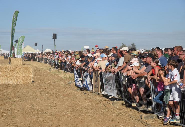 Dimanche 13 septembre, à Villancien. Plus de 7 000 visiteurs se sont régalés des manches de l'indémodable moiss-batt-cross.