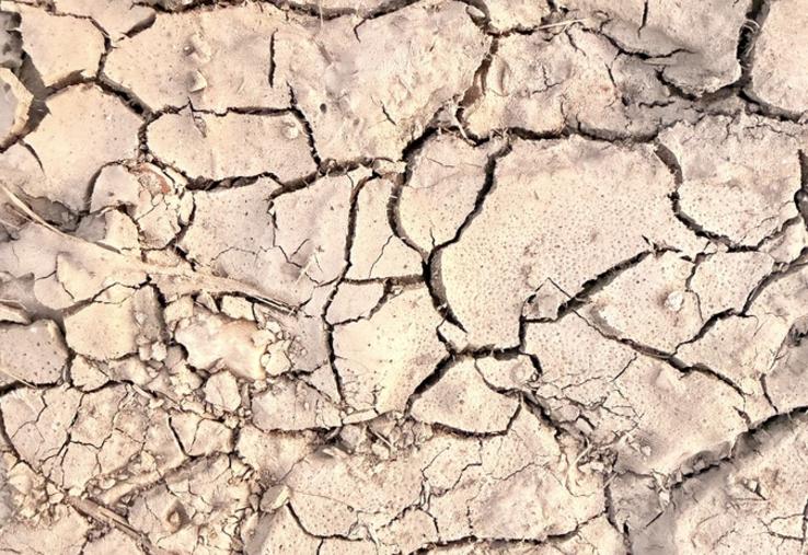Face aux pertes de rendement et au manque de fourrages, la chambre d’Agriculture du Loiret alerte sur la fragilisation des exploitations et les difficultés à venir cet hiver.
