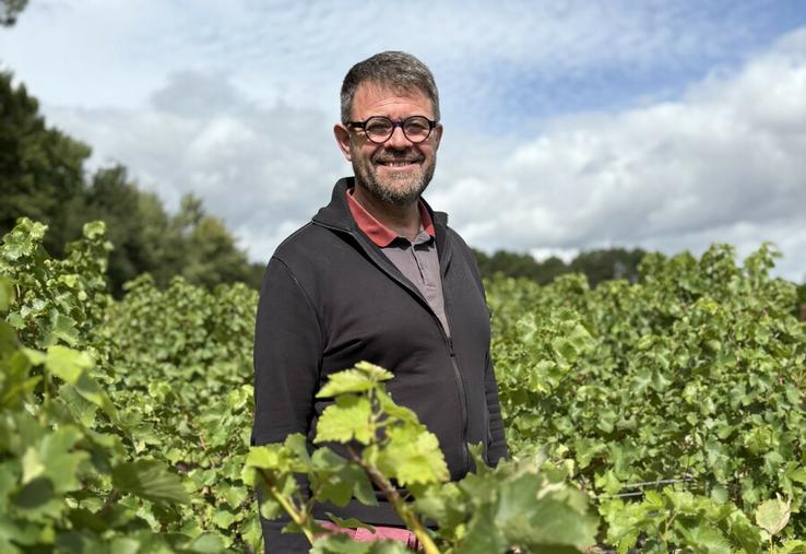 Philippe Faure, directeur de l'AOC Touraine, revient sur le bilan des vendanges atypiques 2026 et sur la situation actuelle pour les vignerons à la suite de cette « petite » vendange.