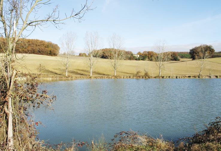 Une bonne gestion de l’eau consiste à stocker et drainer l’hiver pour pouvoir irriguer l’été. De plus, les retenues d’eau attirent faune et flore.