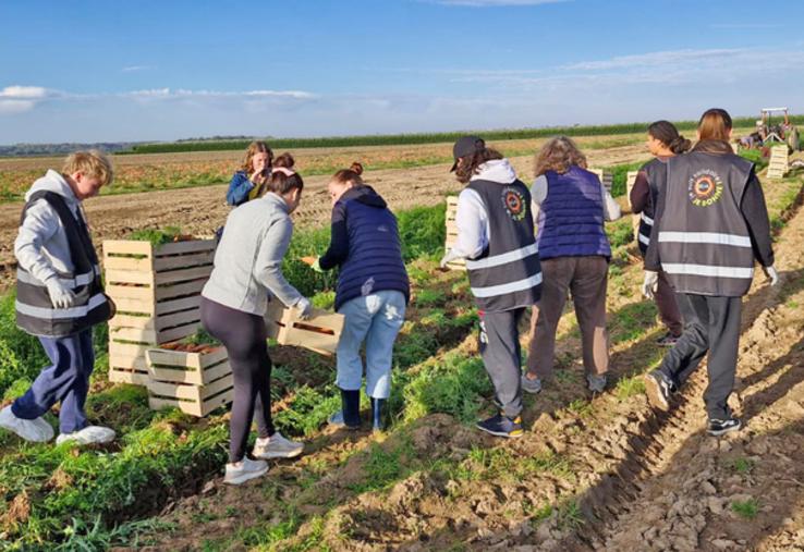 Mardi 6 octobre, à Férolles. Onze élèves de terminale Stav de la MFR ont mis la main à la terre pour récupérer près de 100 kg de carottes destinées à des étudiants en situation de précarité.