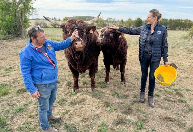 Jeudi 24 septembre, à Belhomert-Guéhouville. Laëtitia et Thierry Meret sont très fiers de leurs impressionnants taureaux salers, Thor et Aristide.