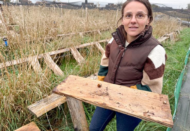 Mardi 20 octobre, à Ouerrais. L'éleveuse Marion Gauthier a perdu la totalité de ses escargots à cause des canicules de cet été et s'interroge sur le redémarrage de l'activité.