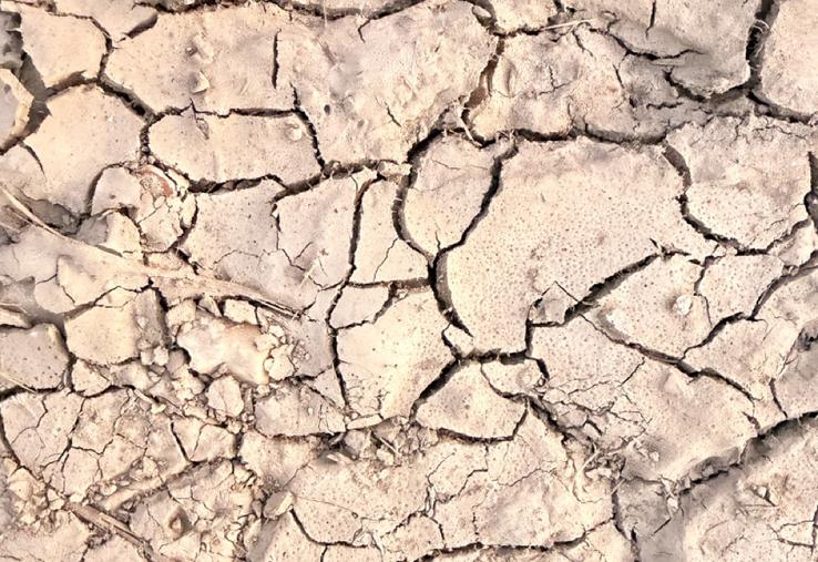 Sol craquelé par la sécheresse en Eure-et-Loir.