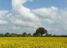 Un accompagnement est désormais proposé aux agriculteurs franciliens qui mettent en place des mesures favorables à la biodiversité. 