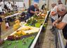 Le 31e Salon européen de la miniature agricole fera encore une fois la part belle aux dioramas.