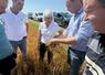 Guercheville, jeudi 18 juillet. La vice-présidente de la Région visite une parcelle de céréales touchée par la grêle.