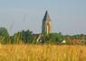 Sonchamp, commune des Yvelines, accueille cette année le Festival de la terre.