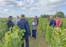 Mardi 17 septembre, à Thoré-la-Rochette. Des vignerons de l'appellation Coteaux du Vendômois se sont réunis pour une visite pré-vendanges.