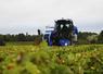 Les vendanges ont commencé mi-septembre au sein des vignes du domaine Biet et Hugo Biet, jeune vigneron installé, revient sur ces vendanges compliquées. 