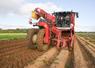 Lundi 14 octobre, à Arnouville. Trois machines ont été mobilisées pour ce chantier d'arrachage chez Grégoire Jaquemet, dont cet automoteur Grimm.