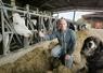 Emmanuel Chameret élève 100 vaches laitières dans la Marne. Il est équipé de deux robots de traite.