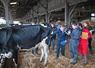 Mardi 19 novembre, à Areines. 128 jeunes des établissements scolaires agricoles du département ont participé au concours de jugement de bétail.