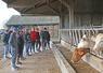 Mardi 3 décembre, à Villedieu-le-Château. Des éleveurs bovins se sont réunis pour assister à la Matinée allaitante organisée par la chambre d'Agriculture.