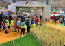 Jusqu'au 2 mars au Salon de l'agriculture à Paris, 1 500 enfants de l’Île-de-France et de l’Oise prendront part à un grand jeu de piste.