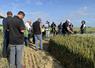 Mardi 3 juin, à Mondreville (Yvelines). Les agriculteurs ont découvert les différents essais de la chambre d'Agriculture.