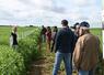 Vendredi 6 juin, à Saint-Amand-Longpré. L'une des journées agronomiques d'Axéréal a rassemblé de nombreux agriculteurs adhérents.