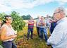 Vendredi 27 juin à Mont-Près-Chambord (Loir-et-Cher). La FNSEA 41 et JA 41 ont organisé une visite de terrain sur une parcelle de M. Croiset, en présence du maire, Gilles Clément, et de la DDT.