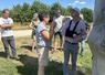 Lundi 30 juin, Valentin Caron, président de la chambre d'Agriculture, s'est rendu dans le verger de la SAS Lanson. 