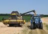Les marchés des céréales connaissant des fluctuations, il est nécessaire pour les agriculteurs de bien les analyser afin de vendre au mieux leur récolte.