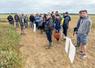Jeudi 11 septembre, à Orsonville (Yvelines). Les agriculteurs présents lors de la réunion organisée par la Chambre ont pu comparer des variétés de sarrasin.