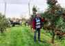 Les Vergers d’Ableiges, à Ableiges (Val-d’Oise). Petite balade dans une remorque tirée par un tracteur au milieu des vergers de la famille Barrois, arboriculteurs depuis plus de trente ans. 