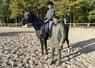 Porté par Manon Lipchitz (en selle) et Clémence Lesage, le centre équestre des Vieilles Ventes se classe 4e en dressage au niveau national.