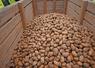 Des solutions s'offrent aux producteurs ayant des surstocks de pommes de terre.