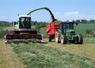 L’ensilage d’herbe et l’enrubannage sont à privilégier pour des animaux exigeants.