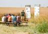 Mardi 16 juin, à Outrouville. Au fil d'une série d'ateliers, la Rencontre agronomique d'Axéréal a essayé de donner aux agriculteurs des pistes pour pallier les difficultés du moment.