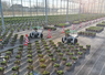 Grâce à son système de guidage laser, Trooper espace les plantes avec précision et peut travailler jusqu'à dix heures en autonomie.