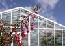 Arboretum de Versailles-Chèvreloup, nouvelle serre des fuchsias.