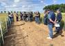 Mercredi 10 juin, à Toury. La Coopérative agricole Bonneval Beauce et Perche a proposé trois journées de visites d'essais, adaptées à ses différents secteurs.