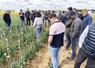 Le 9 juin, à Gaubert (Eure-et-Loir). Une trentaine d'agriculteurs a participé à la matinée diversification semences organisée par Semae.