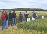 Vendredi 12 juin, à Romilly. Plus d'une centaine d'agriculteurs étaient présents pour les Rencontres agronomiques d'Axéréal.