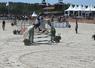 À Lamotte-Beuvron, le Generali Open s'est tenu du 4 au 16 juillet pour la section Poneys et du 18 au 26 juillet pour les Clubs. Plus de 15 000 cavaliers ont arpenté le Parc équestre fédéral pendant près d'un mois. 