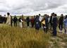 Mercredi 10 juin à Prunay-en-Yvelines (Yvelines). Semae Centre et Agri Obtentions ont organisé une journée pour faire découvrir les progrès génétiques.