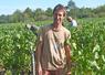 Vincent Tévenot, gérant du vignoble Tévenot, à Candé-sur-Beuvron, doit gérer des vendanges qui sont ultra-précoces cette année. Elles ont démarré le 12 août, du jamais-vu pour lui en dix-sept ans de carrière. 