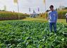 Jeudi 17 septembre, à Corbeilles-en-Gâtinais. Près de 600 agriculteurs, partenaires et collaborateurs se sont retrouvés pour les 10 ans de Soufflet Seeds autour de ses essais.