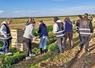 Mardi 6 octobre, à Férolles. Onze élèves de terminale Stav de la MFR ont mis la main à la terre pour récupérer près de 100 kg de carottes destinées à des étudiants en situation de précarité.