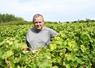 Denis Bourdin, président de la Fédération des associations viticoles de Loir-et-Cher, revient sur les sujets essentiels en viticulture aujourd'hui et sur les actions portées par l'association. 