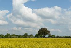 Un accompagnement est désormais proposé aux agriculteurs franciliens qui mettent en place des mesures favorables à la biodiversité. 