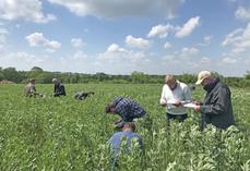 Huit formations biodiversité ont été proposées par la Chambre en 2024.