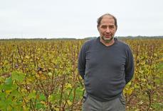 Christophe Morand est vigneron et pépiniériste viticole à Vineuil. Il revient sur les conditions climatiques délicates de 2024 et sa production de plants de vignes.