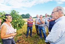 Vendredi 27 juin à Mont-Près-Chambord (Loir-et-Cher). La FNSEA 41 et JA 41 ont organisé une visite de terrain sur une parcelle de M. Croiset, en présence du maire, Gilles Clément, et de la DDT.